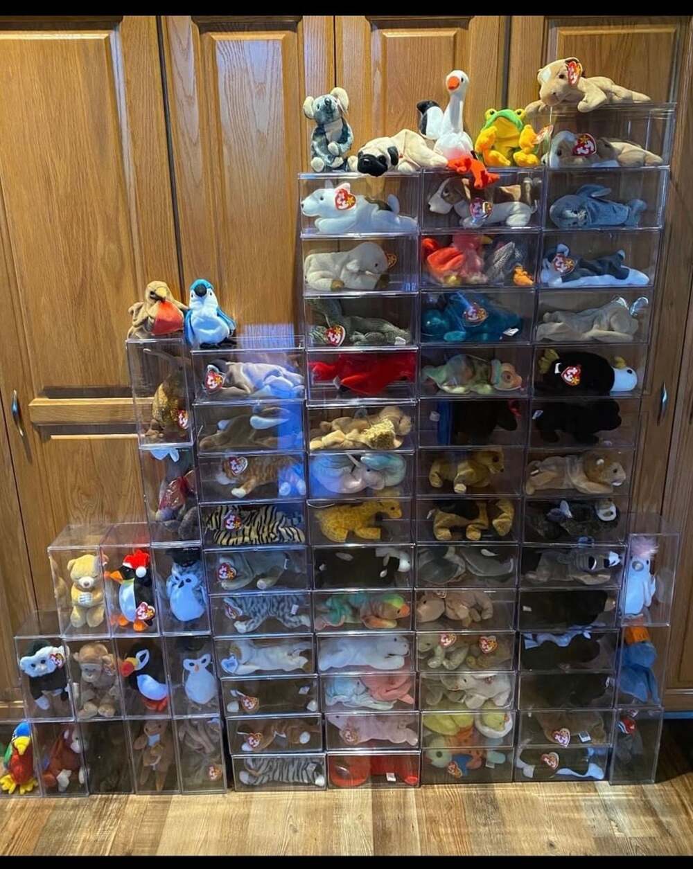 Huge Assortment Ty Beanie Baby Collection Plush Lot with Display Cases.